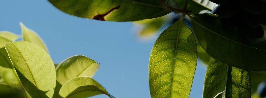 Idegrendszeri stabilitás a mindennapokban Réka Ibolya hero