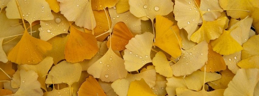 Kommunikáció és határhúzás Réka Ibolya hero